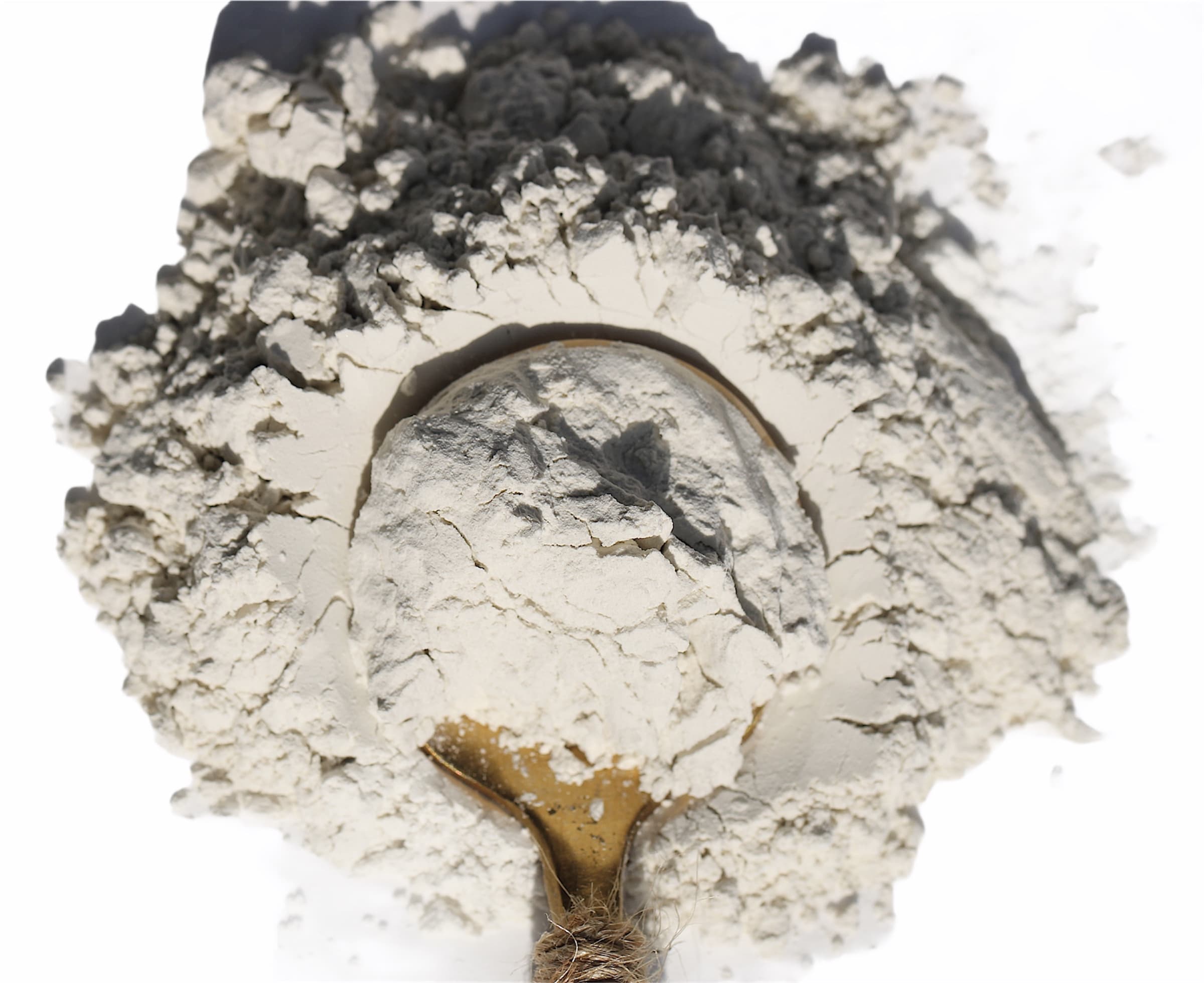 Coconut Milk Powder