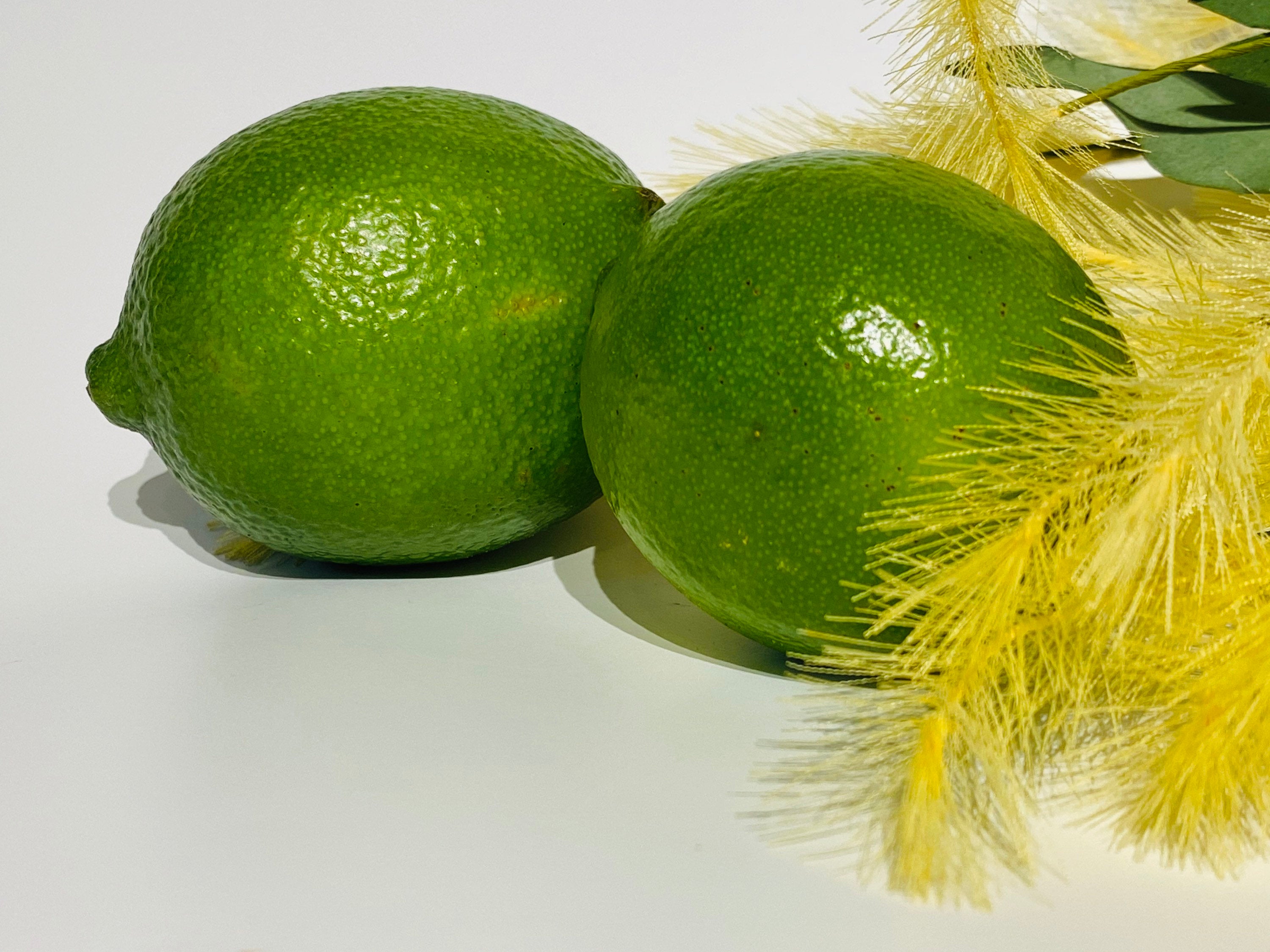 Dehydrated Lime