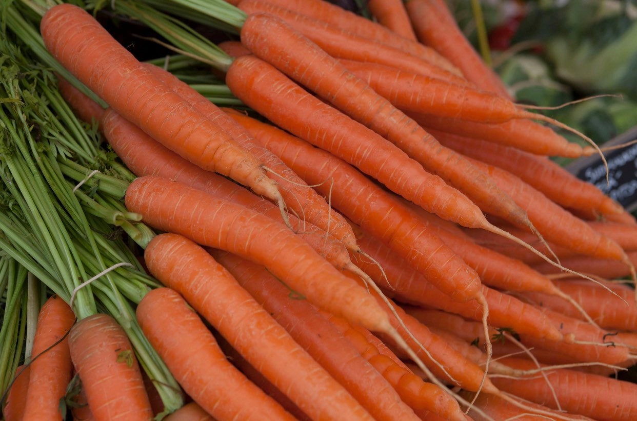 Carrot Powder