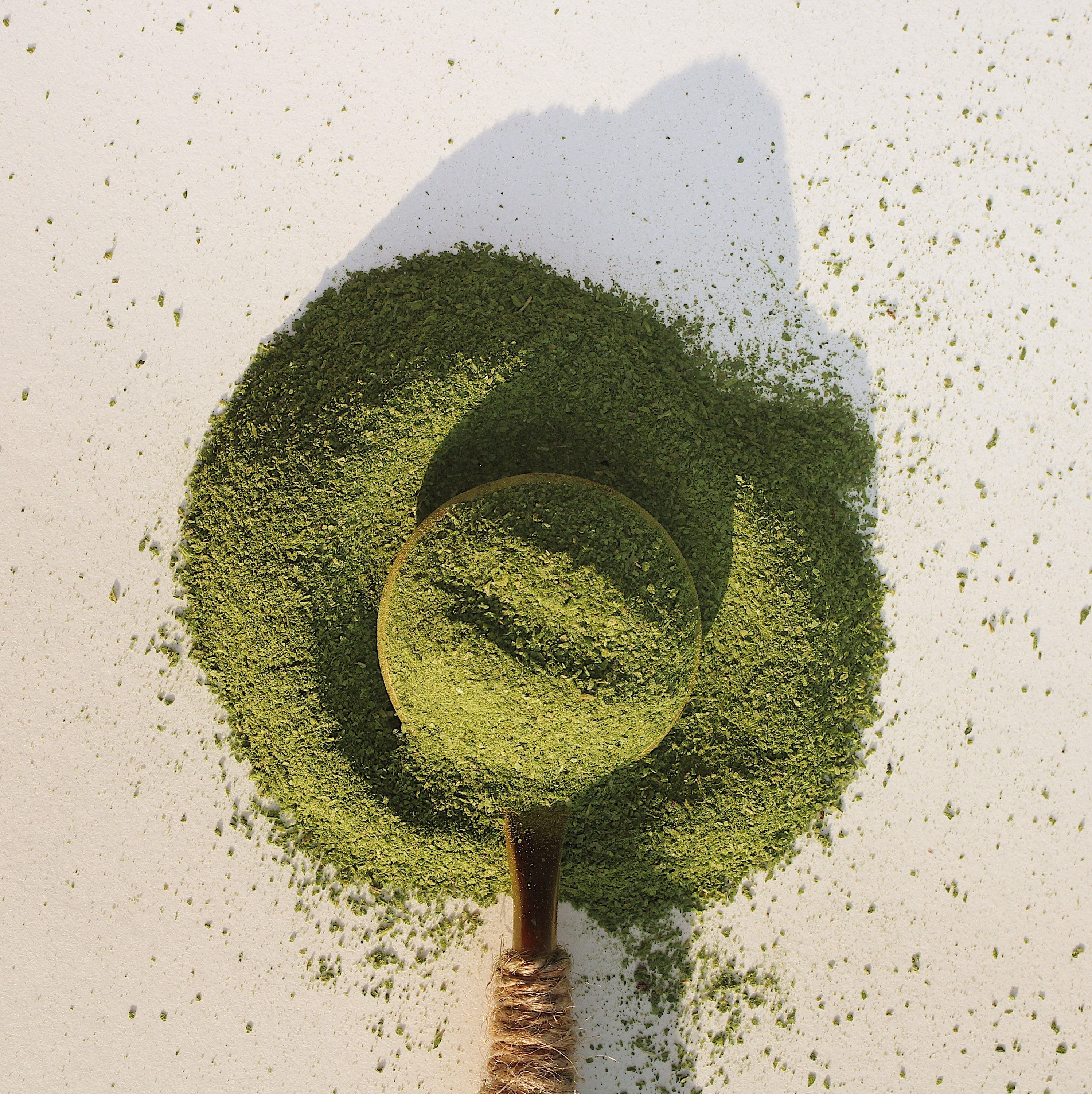 Moringa Powder