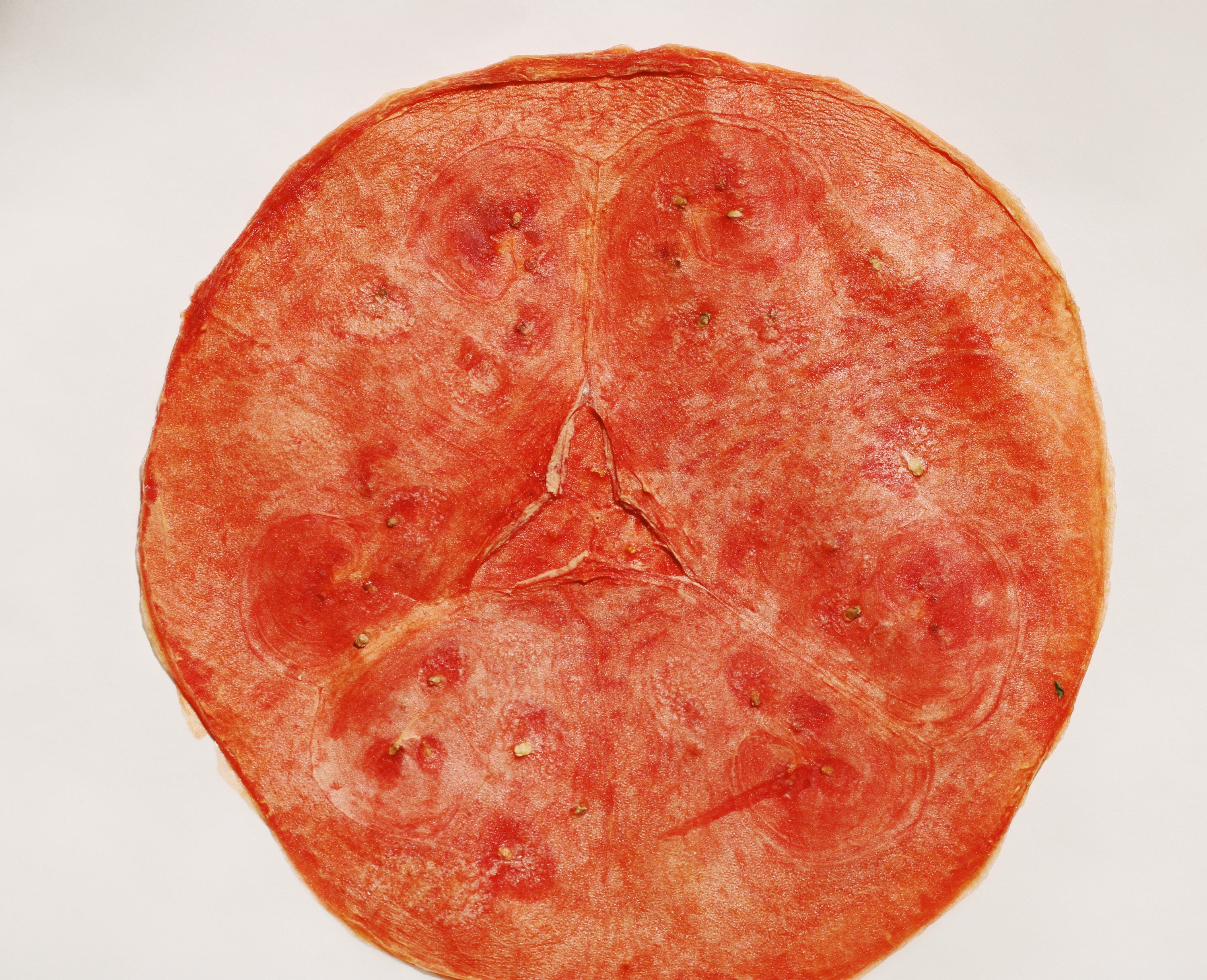 Dehydrated Watermelon slices