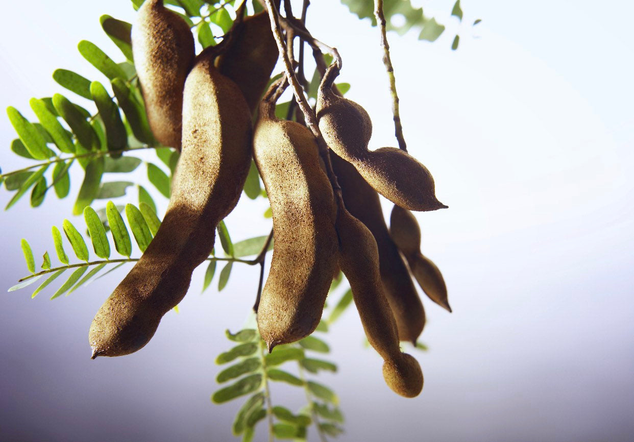 Tamarind Pods Sweet