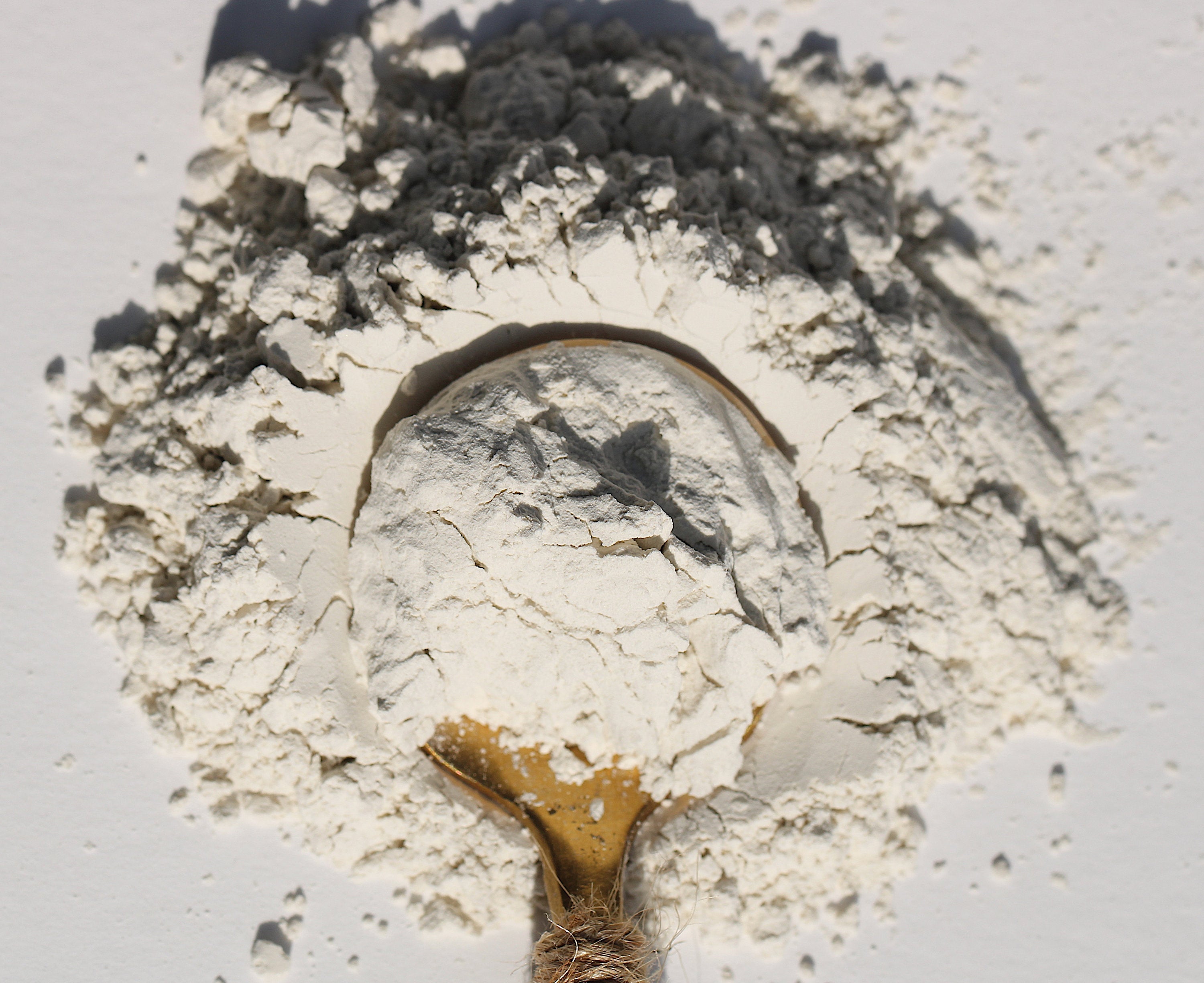 Coconut Milk Powder