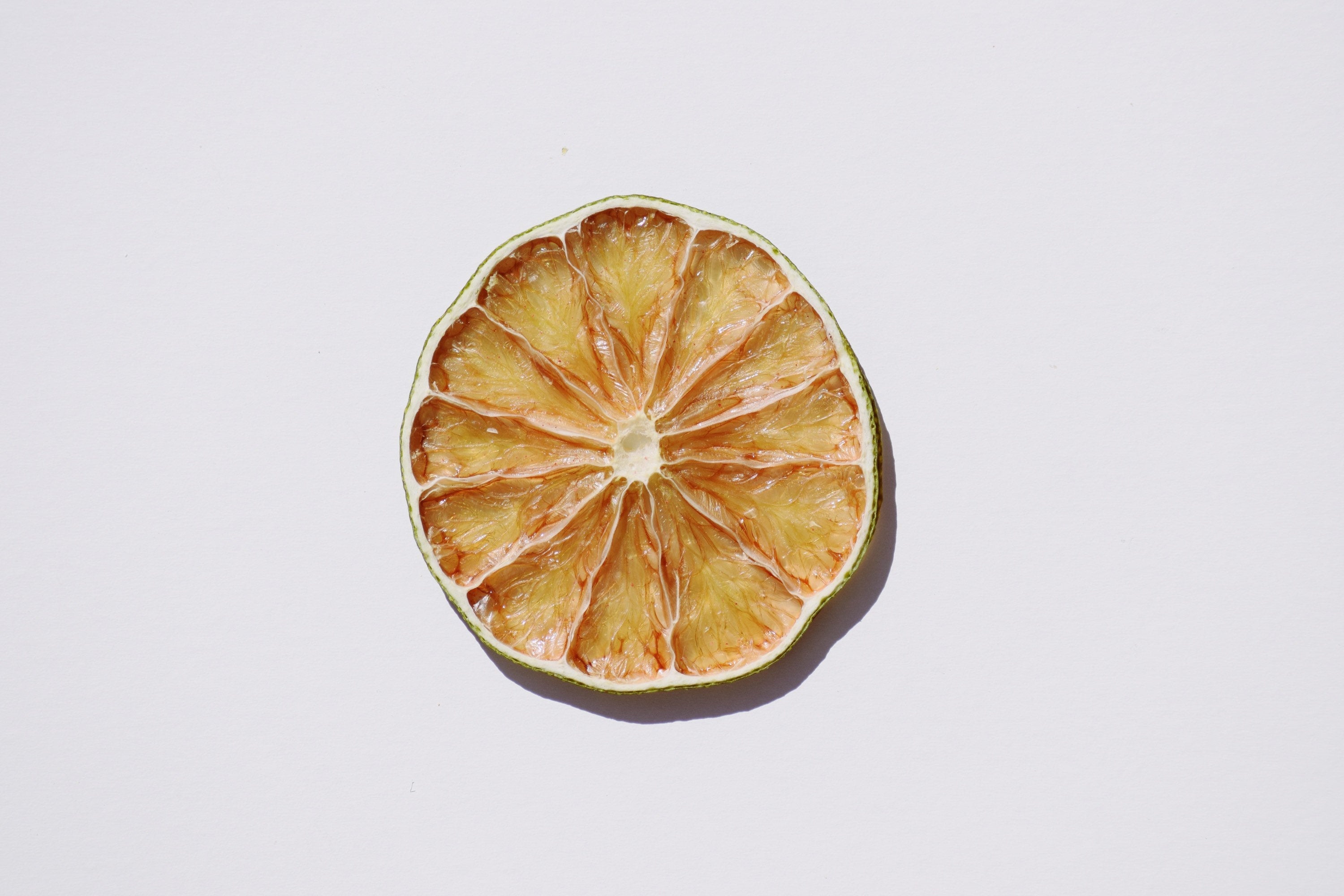 Dehydrated Citrus Variety Pack