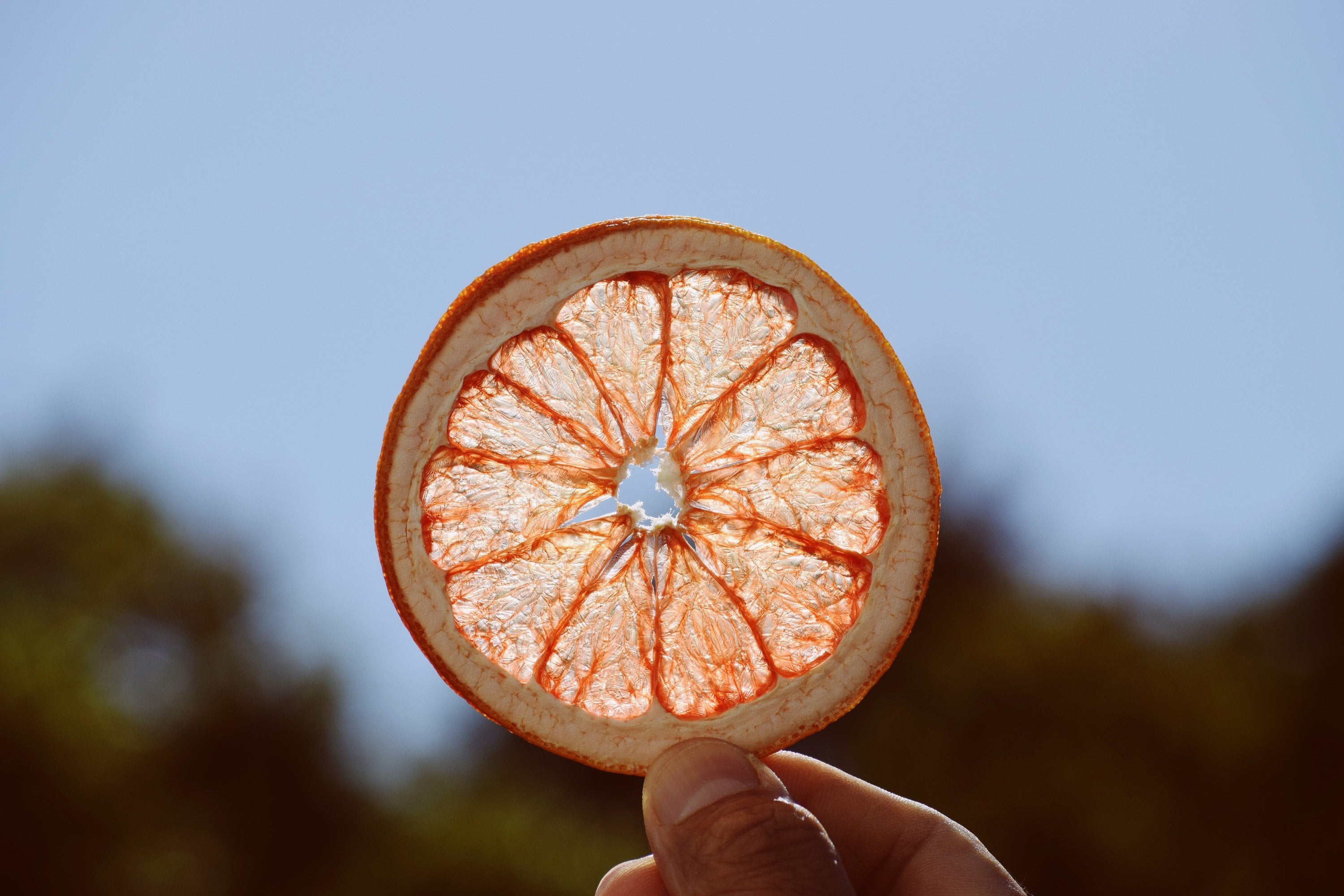 Dehydrated Citrus Variety Pack