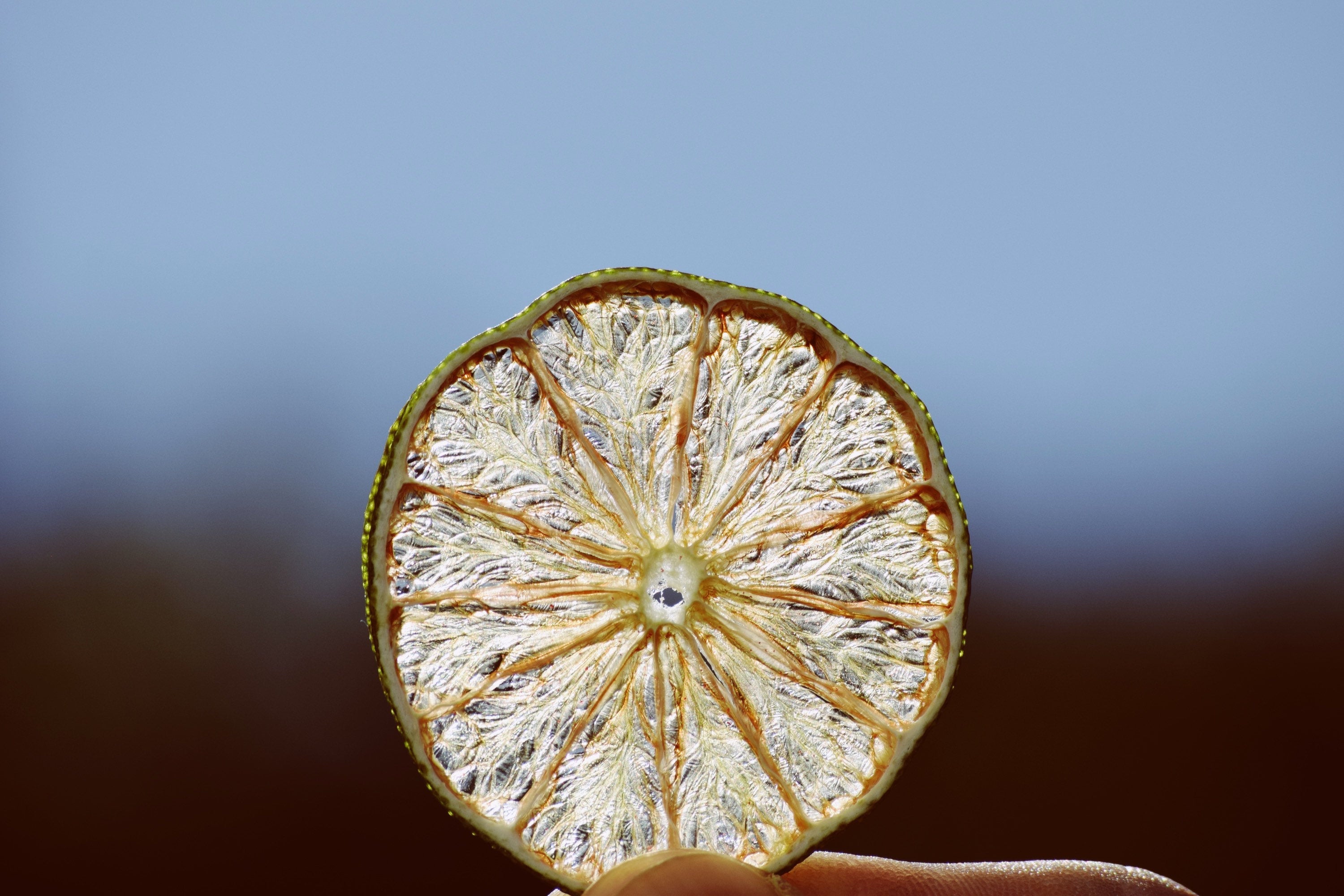 Dehydrated Citrus Variety Pack