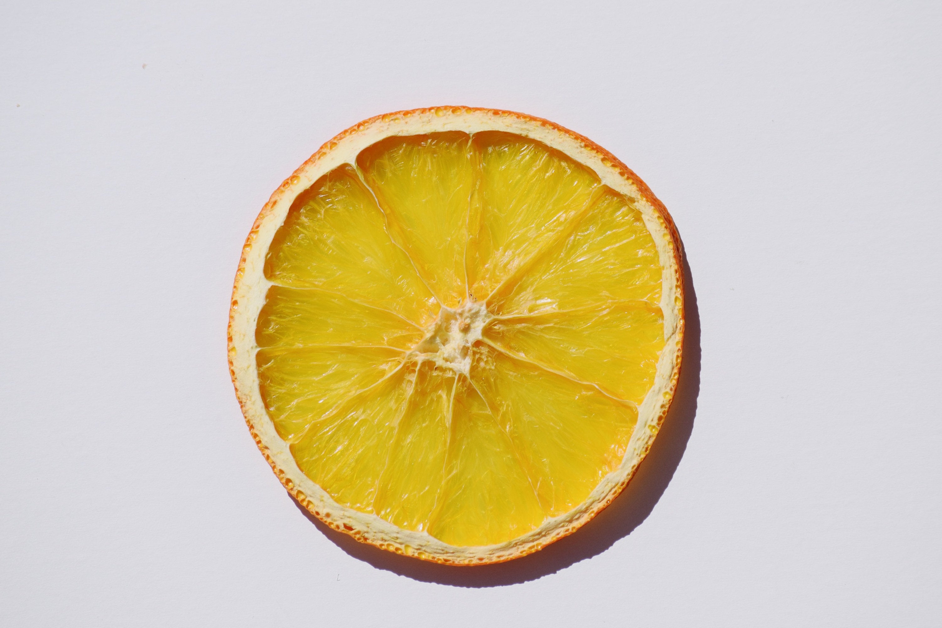 Dehydrated Citrus Variety Pack