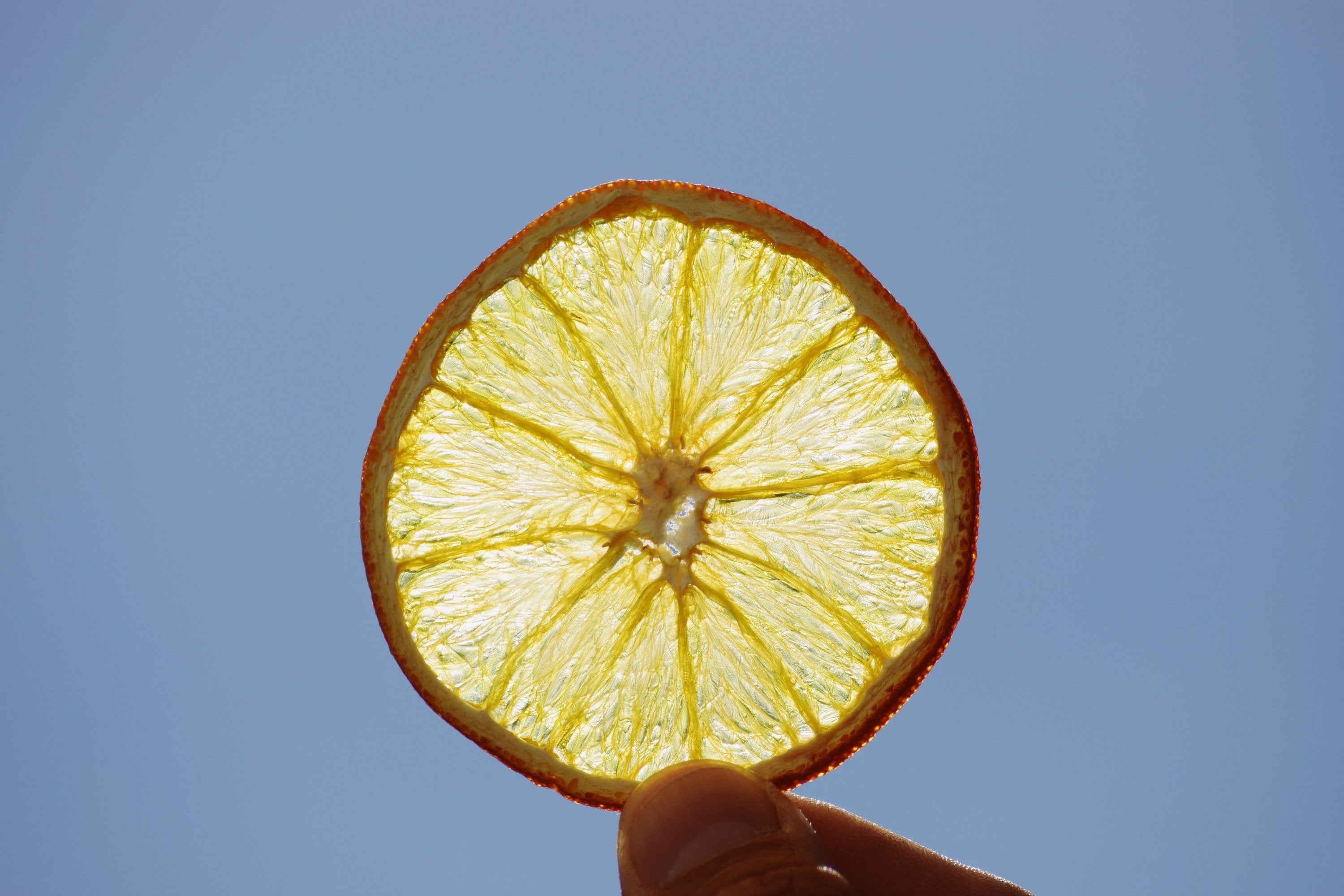 Dehydrated Orange