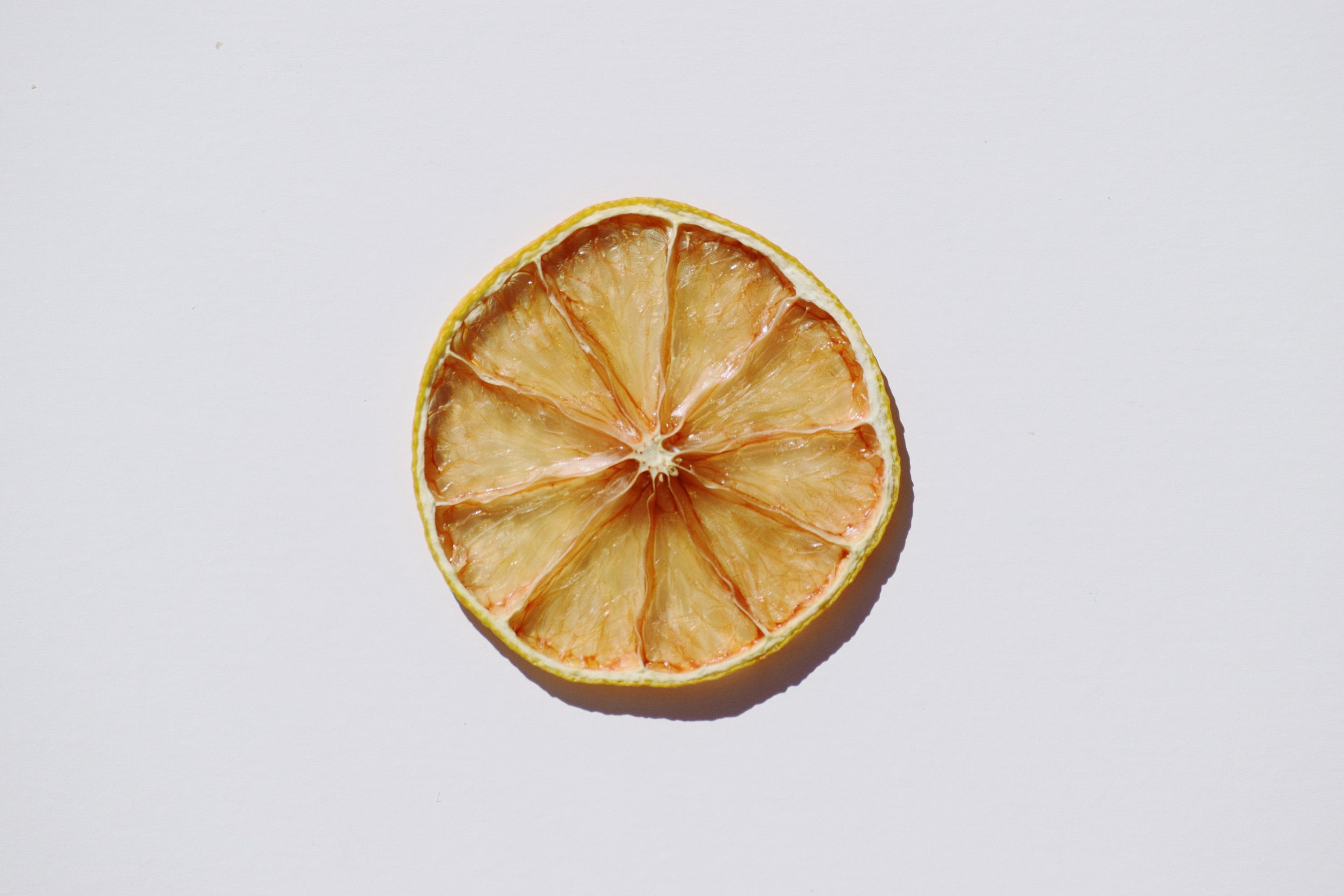 Dehydrated Citrus Variety Pack