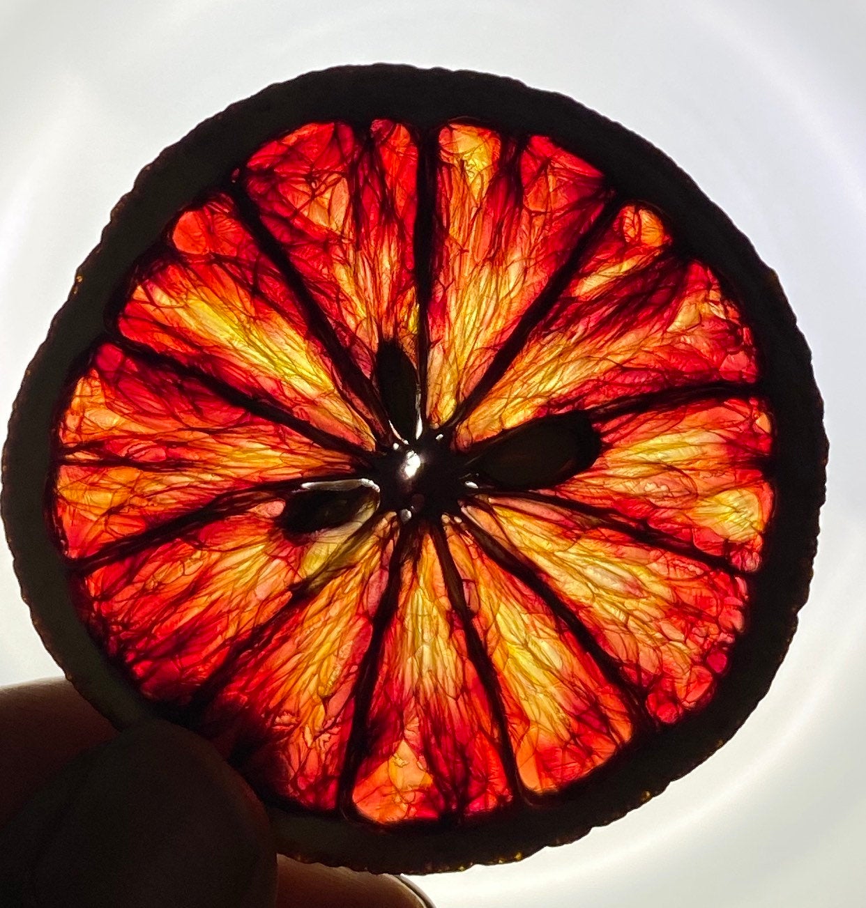Dragon Blood Red Orange