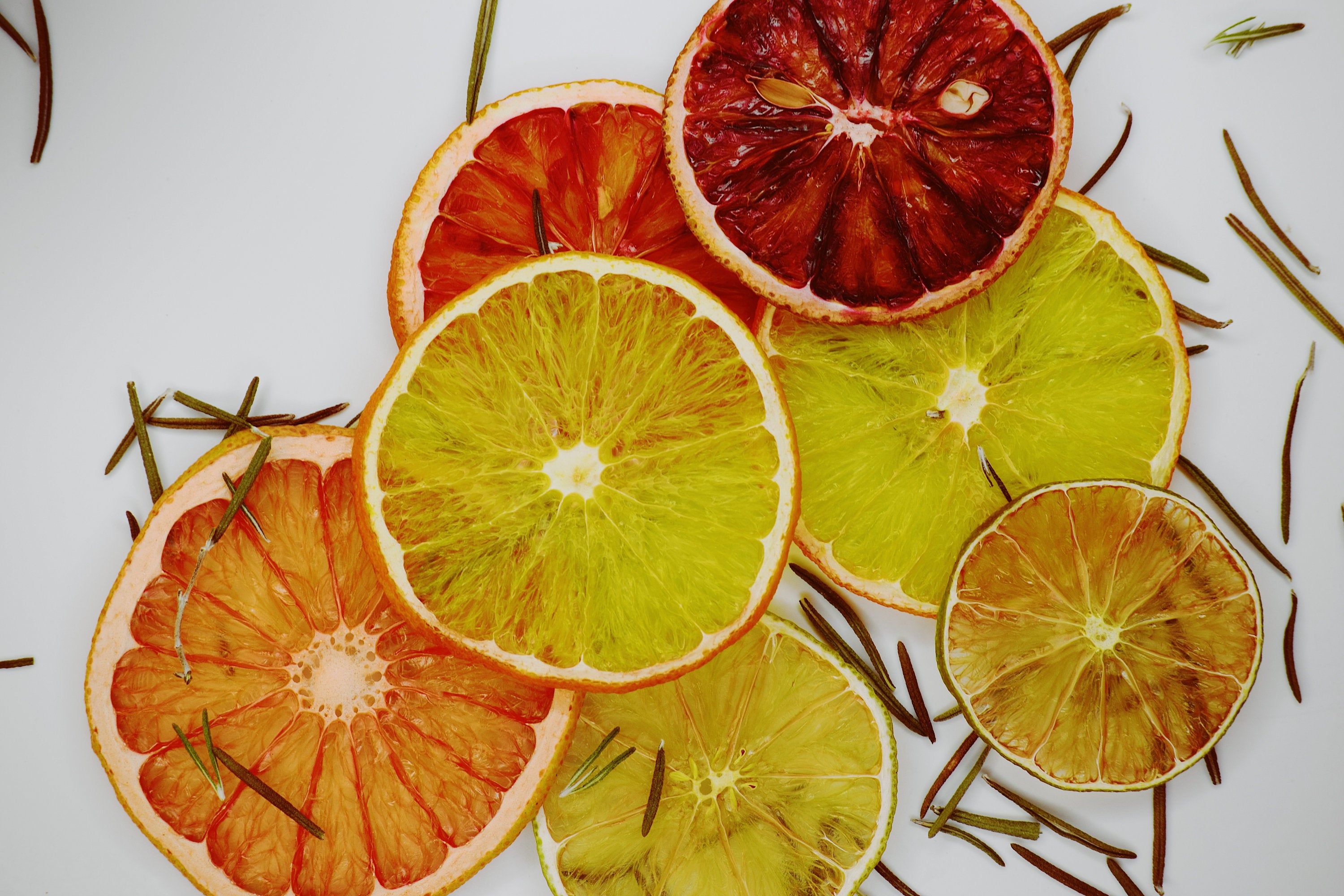 Citrus Cocktail Garnish