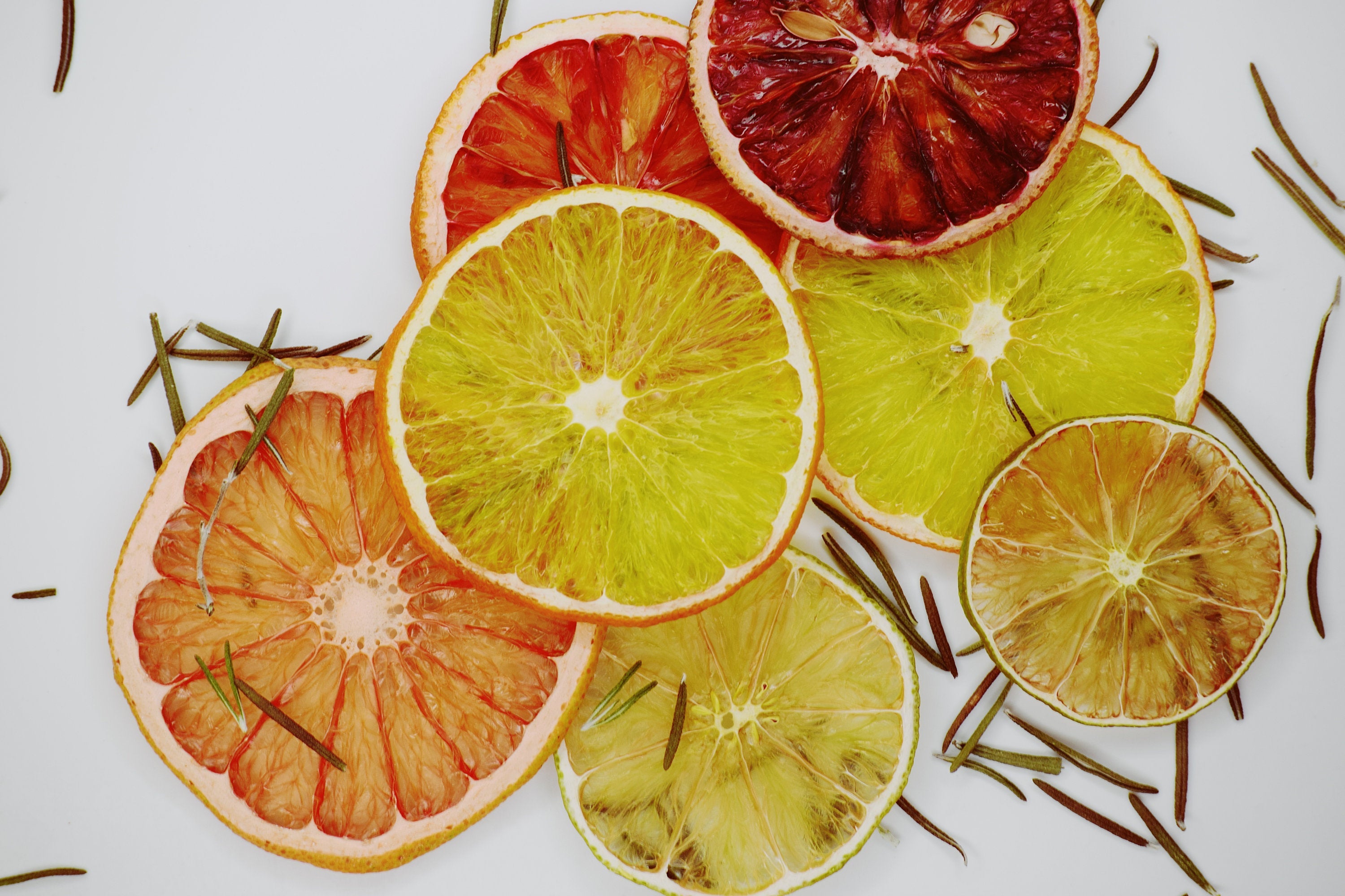 Citrus Cocktail Garnish