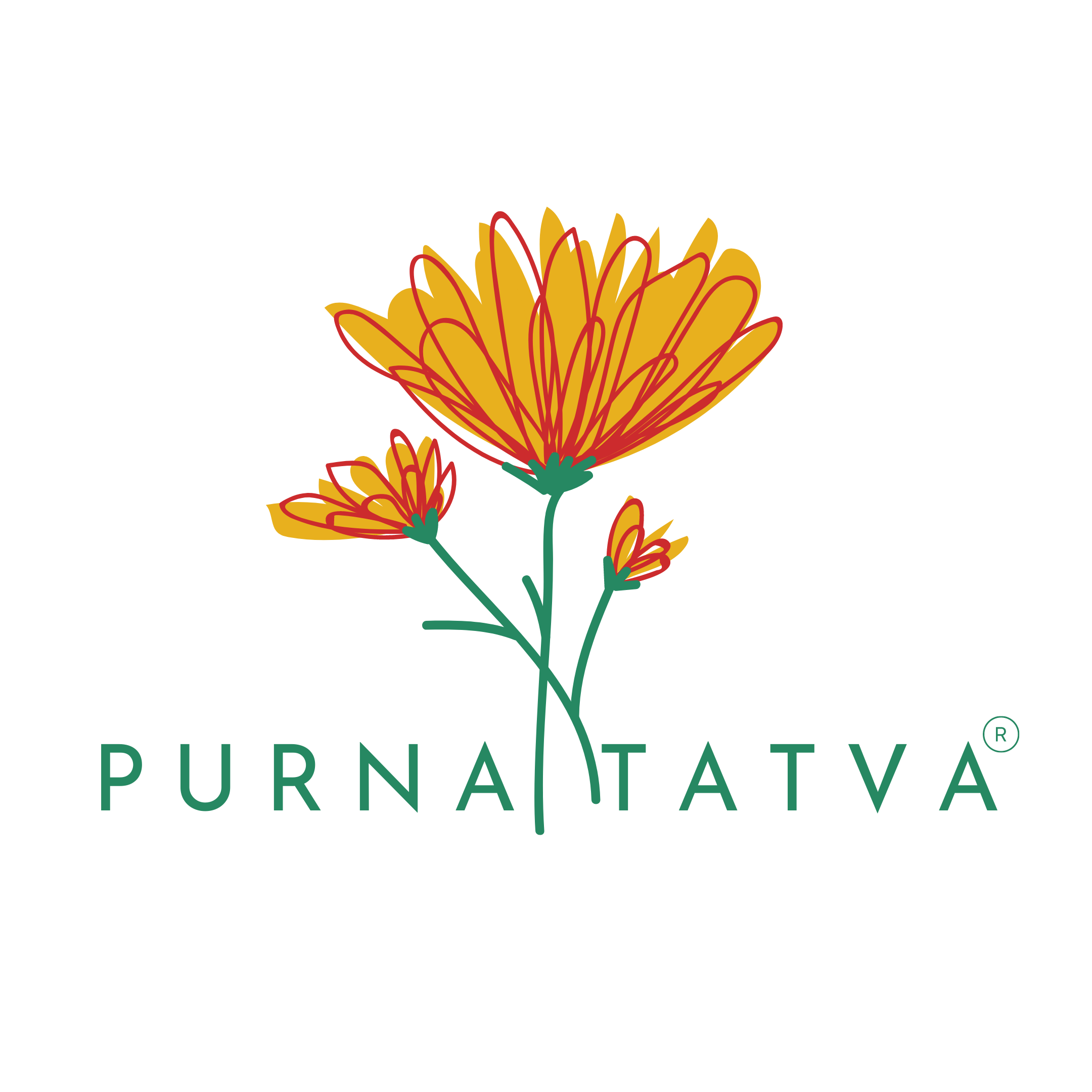 Purna Tatva - The complete Element Dehydrated Fruits , freeze dried fruits , Personalized gifts, Citrus slices 